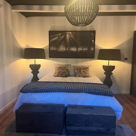 Semesterbostad Du Domaine De Ghor Gondrexange